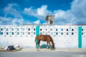 Cienfuegos 2018