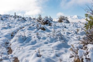 Hiking in the snow