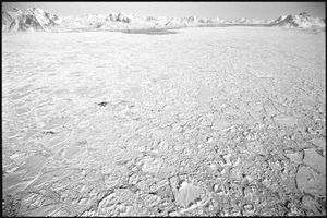 Desolation