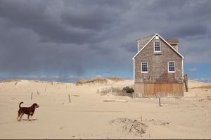 Madaket, Nantucket, 2007