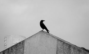Desolation