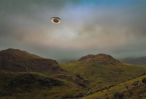 UFO Whales