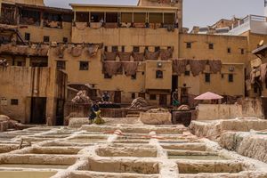 Tannery