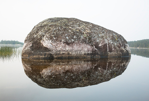 #18 Erratic