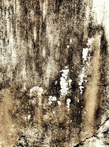 Metamorphosis 4