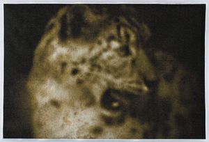 © Wendi Schneider "Leopard"