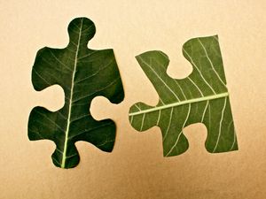 Environmental puzzle