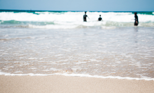 Ocean swims