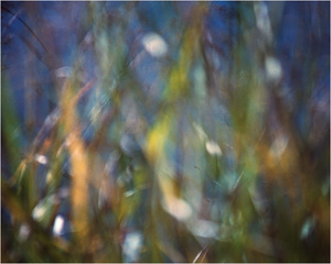 In a Landscape #8