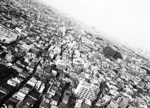 BLACK BIRD LAND-6