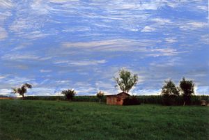 Small house