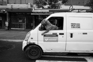 Mr. driver
