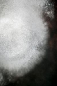 Ode to Salt.