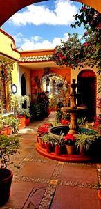 Colourful refreshing courtyard