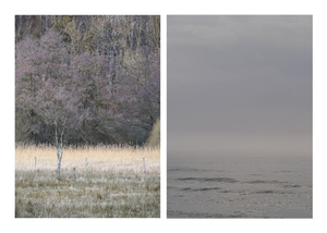 Diptych III