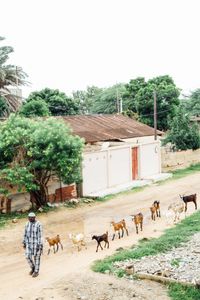 A Muslim leader and his kids