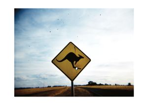 At the end of the trail?