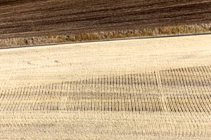 Palouse, WA. Study #58                        (47 2.3769N - 117 6.9921W)