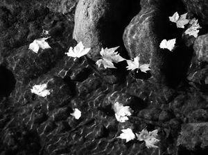 cc-by-sa Mylene Bressan