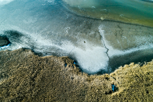 Lakeshore Operations | Ground Level Series #04