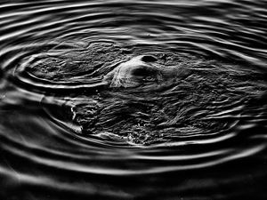 SWIRLING