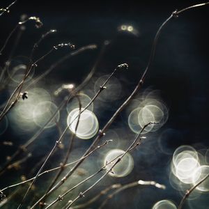 Matter, Light & Ice