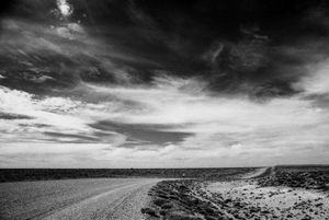 El camino