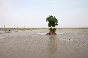 Climate Crisis in Bangladesh