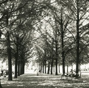 Park Promenade © Erin Malone