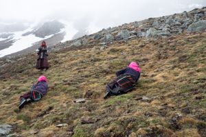 Women from Karang search together for yartsa gunbu. Upper Dolpo, Nepal, June 2017.