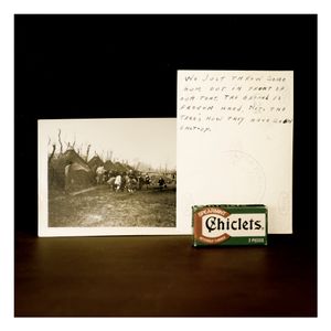 Gum