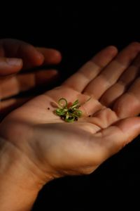 Aulnay-la-Rivière, 2018