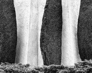 Cypress and Stucco  © David Paul Bayles