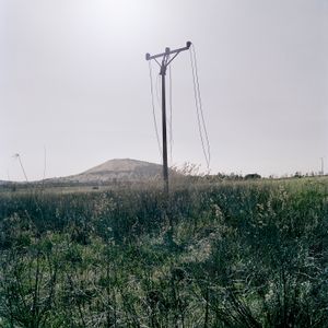 Untitled;