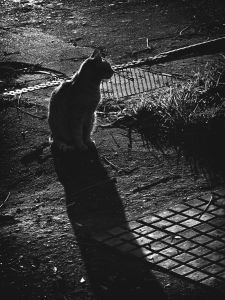 Winter light