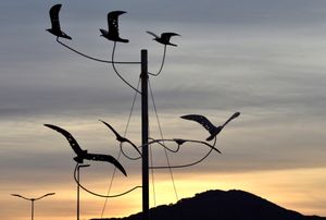 Sogno incosciente di una realtà insulare