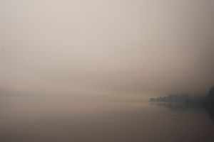 Mist You (6)
