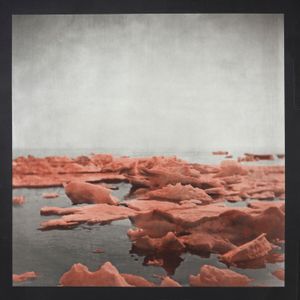 Elegy IV, 2019