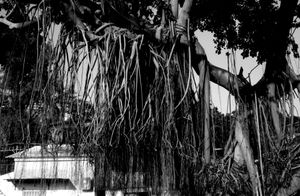 "Peng Chau Hong Kong"