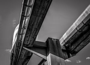 Disney World Monorail, Orlando, FL, 1 7 22, Photo by Joe Bruha, Copyright 2022