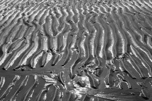 Ocean's traces