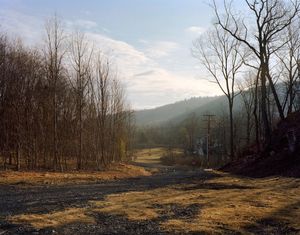 Logging Road, 2010