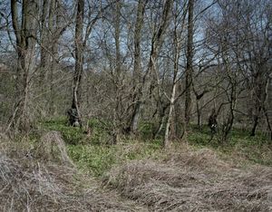 Pickers