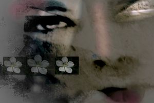 Petals 7