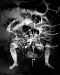 CELLO #04