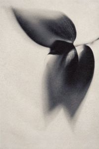 UNA