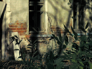 TRACES-TCHERNOBYL