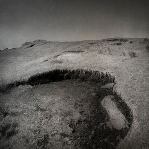 Peat