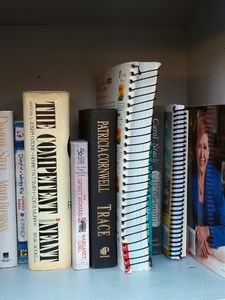 “Ex Libris: What Madison is (and is not) reading,” 2015