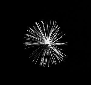 Wisp